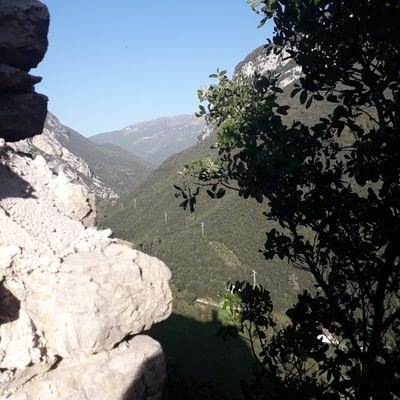 AyegaoZ's profile picture.