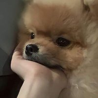 CarloDestiny1031 (@cdestiny31) 's Twitter Profile