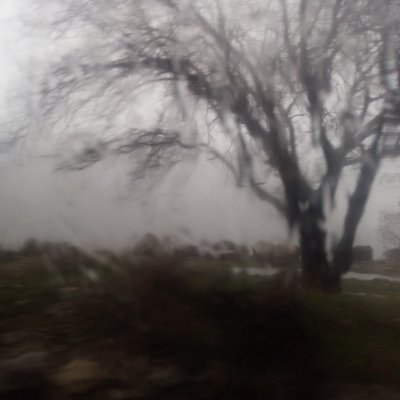 HIVA232976231's profile picture. Stubborn