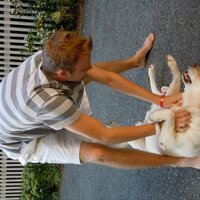 Will Stoeckle (@wstoeckle) 's Twitter Profile