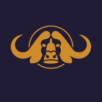 Nyathi (@nyathibeer) 's Twitter Profile