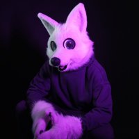 Lunyr Husky (@lunyrhusky) 's Twitter Profile