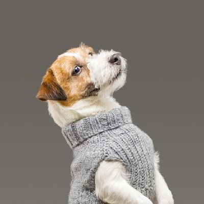 Programming and Tech Startuping by day. Reader and a Music Player by night. Food lover, though a bad cook. Aiming to be the first in my family to own a dog!