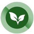 Co-designed Regional Strategy for the Bioeconomy Profile