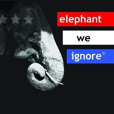 ElephantWeIgnor Profile Picture