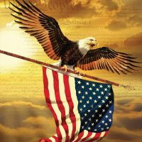 🇺🇸 PTI COLUMBUS (@nabeelch125) 's Twitter Profile