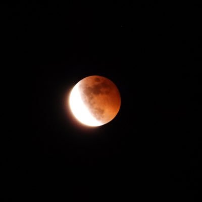 栃木県の南部辺りをうろうろしております。自然が大好きで週末はカメラを背負い、自転車で巡っています。