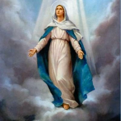 msanchezreal's profile picture. Soy como el Ave Fenix, creo en el Amor, en Dios. Amo la Vida en toda su magnitud!