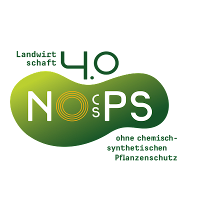 nocsps's profile picture. 