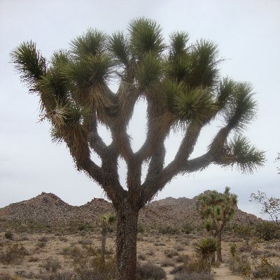 GrandmotherSam's profile picture. She/Her #BLM Retired Teacher & Math Coach, Grandma, Moms Demand Action volunteer, gun violence prevention advocate,