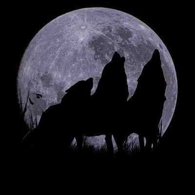 pack2moon's profile picture. It is my nature to be kind, gentle, and loving. But know this: Do not trifle with me. I am also the most powerful and relentless creature you will ever know.