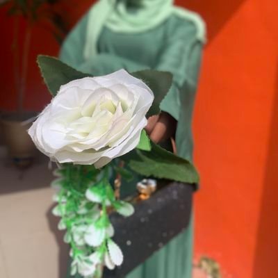 ryamlola's profile picture. Chemical Engineering | Data Analytics