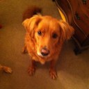 Vince Gomez - @VinceG5 - Twitter