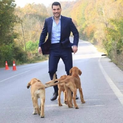 Maryluz28261990's profile picture. sigo aquí por el 🌞 turco #AkınAkınözü
