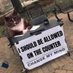 please do not the cat (@counter_catto) Twitter profile photo