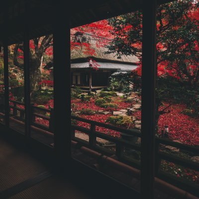 社会人投資家 22歳、25歳で500万、30歳で1000万、50歳で1億以上が目標。そのために日々勉強してます。よろしくお願いします