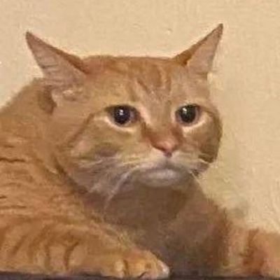 pham_alam's profile picture. Your friend