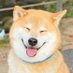MING (@hatisgx) Twitter profile photo MING (@hatisgx) Twitter profile photo