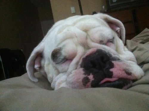 The__Lando's profile picture. Canucks and Seahawks