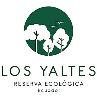 The ecological reserve Los Yaltes is part of Choco Andino region. Non profit organization. 200 hectares of primary forest with exceptionally rich nature.