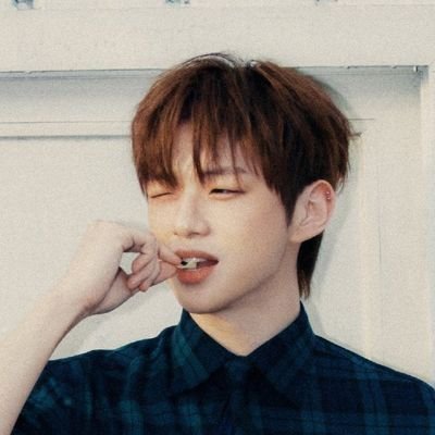 전적으로 강다니엘만!!
혼자 앓는 계정
rt봇이라 진짜 별거없음
강쥐 건드리면 물어여