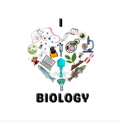 UMBCBiology Profile Picture