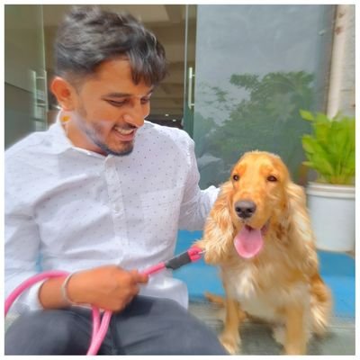 YCTidy's profile picture. save your memories.