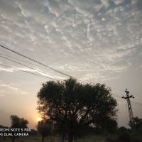Brijmohan (@brijmohangitha1) 's Twitter Profile