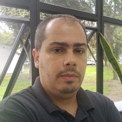 Doutor em Sociologia Política interessado em eleições e comportamento político.