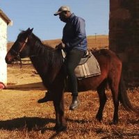 So Tjhudu (@conquer_lm) 's Twitter Profile