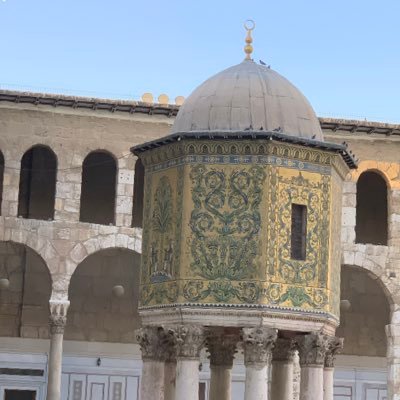 snghabra's profile picture. unemployed millionaire.