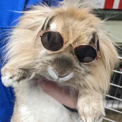 taryn_says's profile picture. Mother. Lover. 
Just trying to make sense of it all...