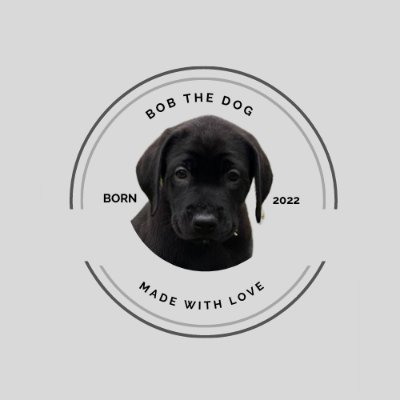 iambobthedog22's profile picture. black labs puppy adventure