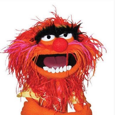 Animalmuppet5's profile picture. 