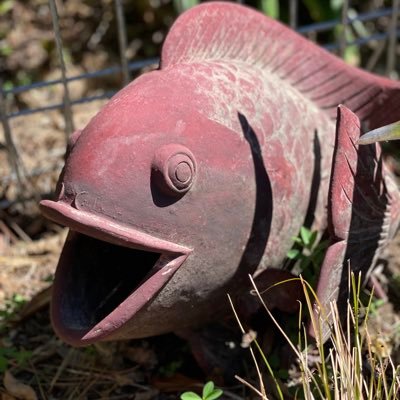 ThompsonAndr's profile picture. Independent Social Worker and Supervisor. How do parents, children and doctors work and relate together, what's happening in Health?