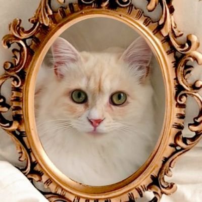 工場畜産を知って動物性(肉、魚、卵、乳製品)食べるのをやめました。香水、柔軟剤、香害を知りやめました。vegan,なるべくグルテンフリー🍴🧁保護猫プラニャン🎀5歳🌹小さな家庭菜園🌿✝️