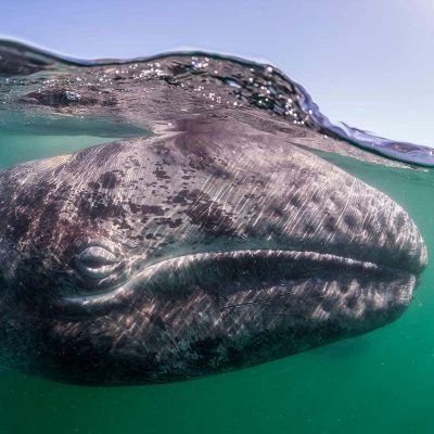 Graahval's profile picture. 