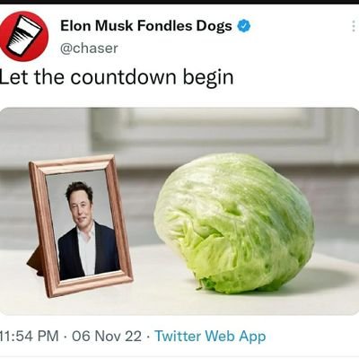 1millionspiders's profile picture. Gay.  Queer.  Seeking equality for everyone.