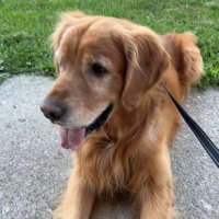 HiImNotPat (@hiimnotpat1) 's Twitter Profile Photo HiImNotPat (@hiimnotpat1) 's Twitter Profile Photo
