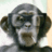 AnnaMalashkina's profile image