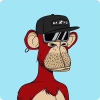 QFool (@quotidianfool) 's Twitter Profile Photo