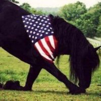 FreedomFightersDaughter🇺🇸(@FrdmFghtrskid) 's Twitter Profile Photo