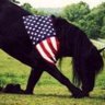 FrdmFghtrskid's profile picture. Patriot that loves Freedom🇺🇸 I’m back from the Great Purge. Digital Soldier. God Bless Texas 🇺🇸 FSD Republican 🇺🇸 Full Support for Donald