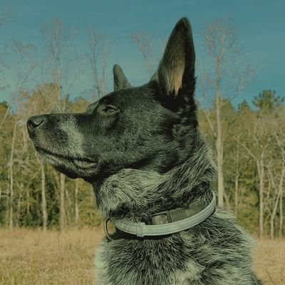 braley_hunter's profile picture. 📝Short Form Copywriter

📸Photographer