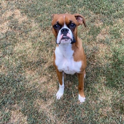 cdykes90's profile picture. Life is good