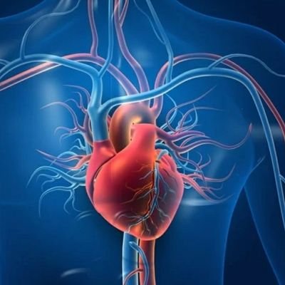 JR TEAM
Línea emergente multidisciplinar de investigación en cardiología geriátrica, inmumutrombosis y riesgo residual post-IAM