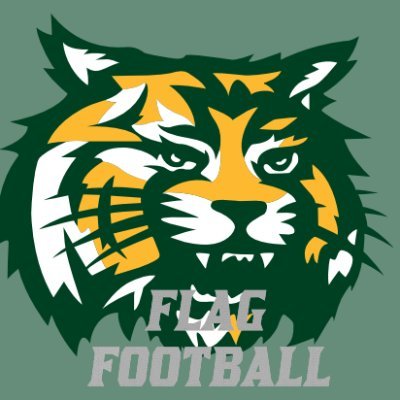 Official Twitter account for the Forest High School Girls Flag Football team.