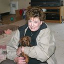 Joyce Andrews - @joyceandrews - Twitter