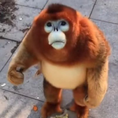 sorrell_tyler's profile picture. 