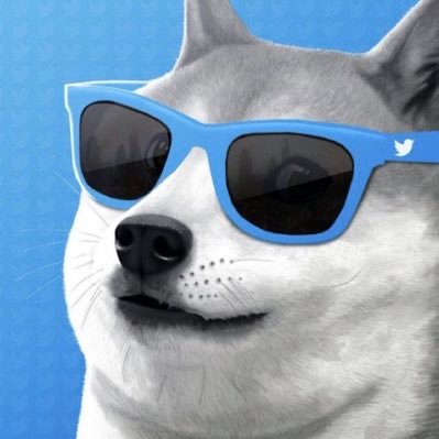 Here to follow Elon musk and fuel doge to the MOON